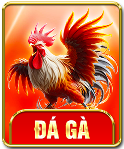 Đá gà